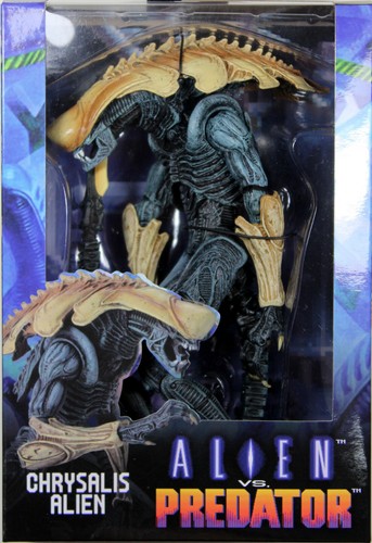 Alien predator action - alien,