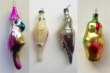 Pappagallo SCEGLIERE TRA