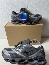 mizuno Wave prophecy 