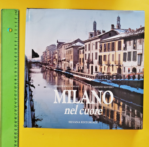 Milano nel cuore illustrato