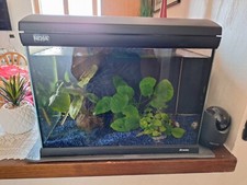 Acquario Newa Mirabello