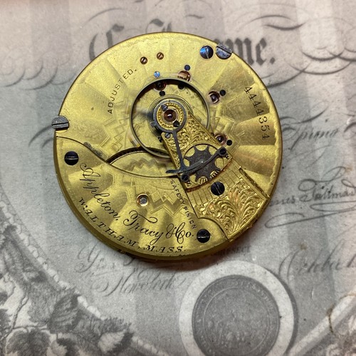 Orologio tasca waltham - orologio, da