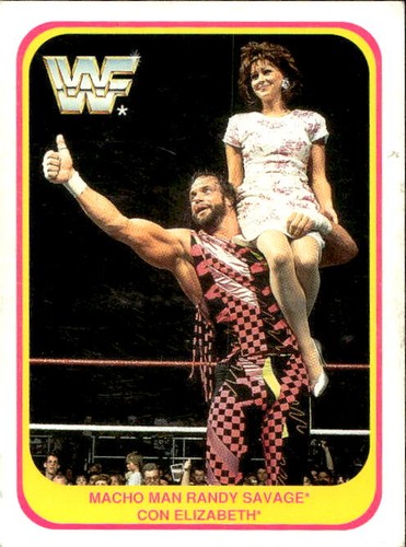 Card wwf wrestling merlin 1991 - wrestling,