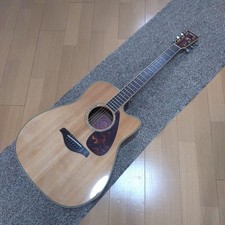 Chitarra elettrica-acustica