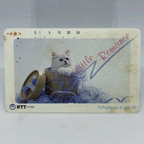 Gattino confezione regalo - in,