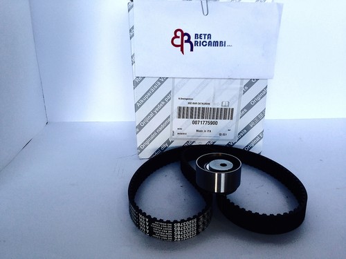 Kit distribuzione new - kit,