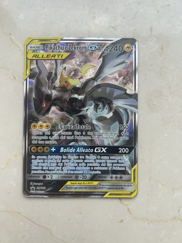 Pikachu zekrom alleati - zekrom,