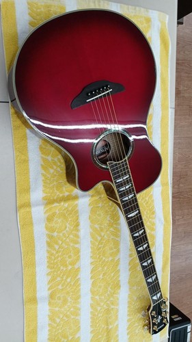 Chitarra acustica elettrica