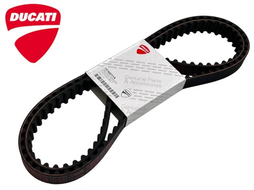 Kit cinghie distribuzione - cinghie,