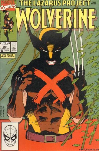 Wolverine fumetto marvel - fumetto,