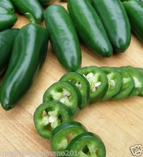 semi di peperoncino serrano