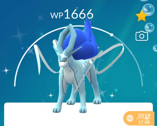 Shiny suicune pogo scambio - -,