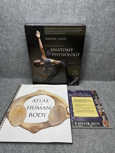 Fundamentals anatomy - fundamentals,
