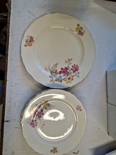 6 PIATTI DA DOLCE PIÙ PIATTO