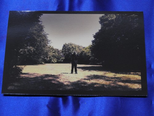 Steven wilson porcupine tree - steven,