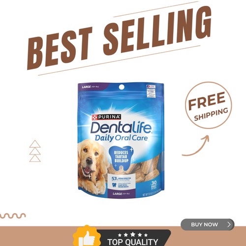 Mantenere sorriso del cane - mantenere,