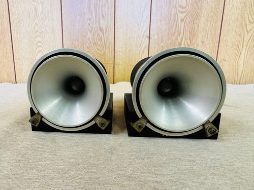 Coppia tweeter corno fostex - tweeter,