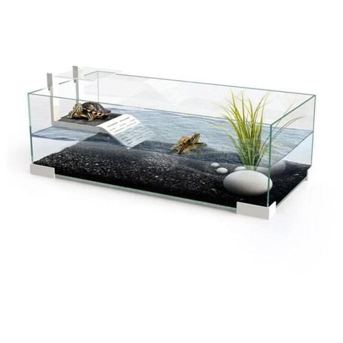 Ciano tartarium tartarughiera - ciano,