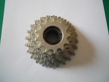 pignone regina-everest 6V 13-24