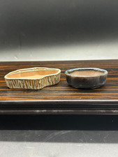 set di 2 piccoli vasi bonsai