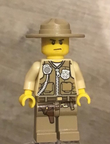 Lego police officer - police, state