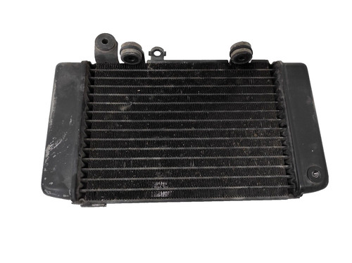 Radiatore acqua sinistro honda - radiatore,