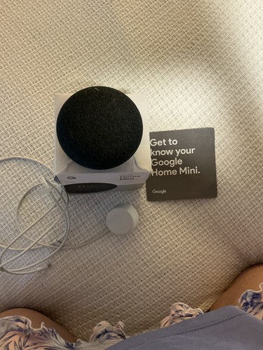 Google home mini smart - google,