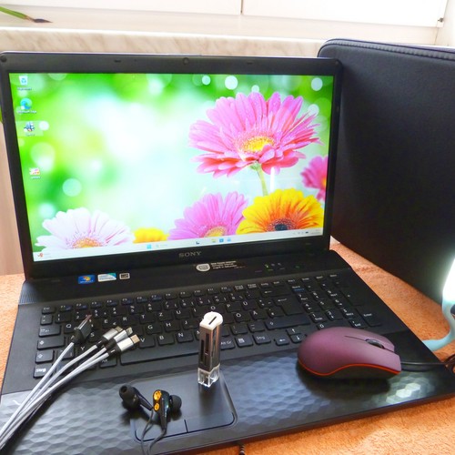 Sony vaio pollici hdplus - ej,