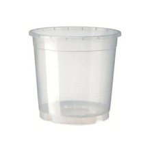 Vaso Trasparente per Orchidee