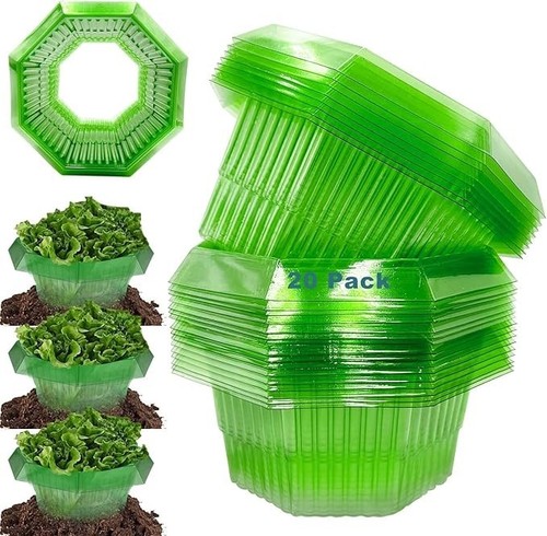 Collari antilumache anelli - antilumache,