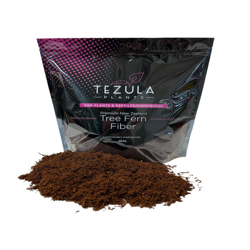 Tezula plants premium zealand - plants,