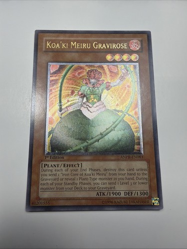 Koa meiru gravirose - gravirose, (utr)