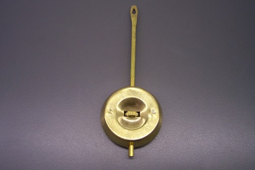 Ansonia pendolo lungo - lungo, per
