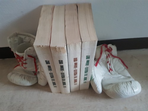 Reggilibri guantoni boxe - guantoni, da