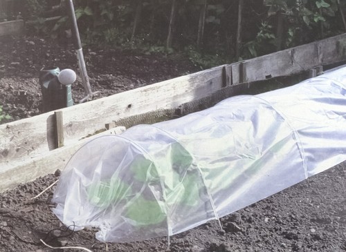 Polytunnel extra lungo - lungo,