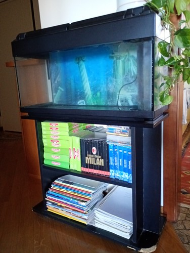 Acquario completo con