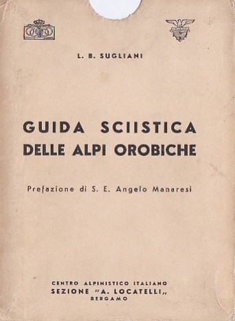 Guida sciistica delle alpi - sciistica,