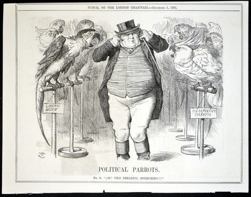Pappagalli politici 1881 john - pappagalli,
