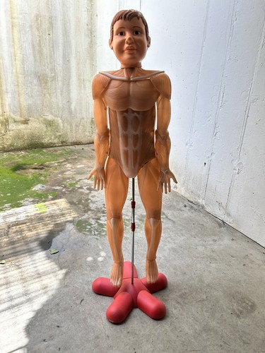 Corpo umano - il,