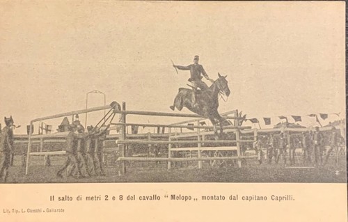 Cartolina scuola cavalleria - scuola,