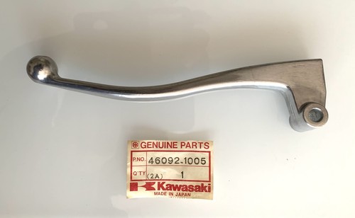 Kawasaki 1000 anni - kawasaki,