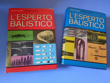 LUIGI UGOLINI - L'ESPERTO