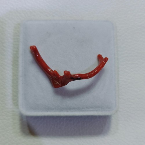 Ramo corallo rosso naturale - di,