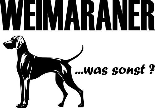 Adesivi weimaraner sticker - adesivi,