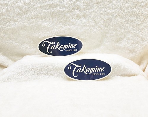 Set adesivi chitarra takamine - set,