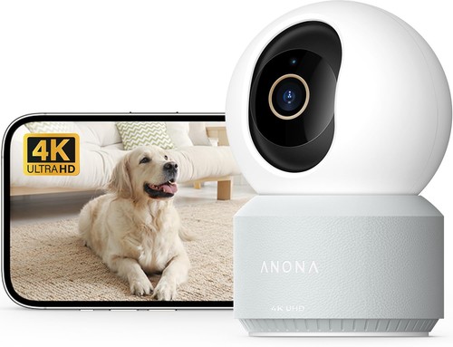 Anona pano telecamera - pano, 4k