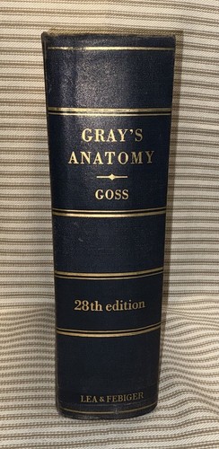 Gray anatomy 28th - anatomy,