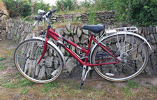 Bici donna Raleigh Pioneer 140