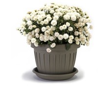 Bama - sottovaso tondo per vasi terra colori terracotta/tortora/grigio/bianco