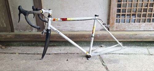 Fuji pista - pista,